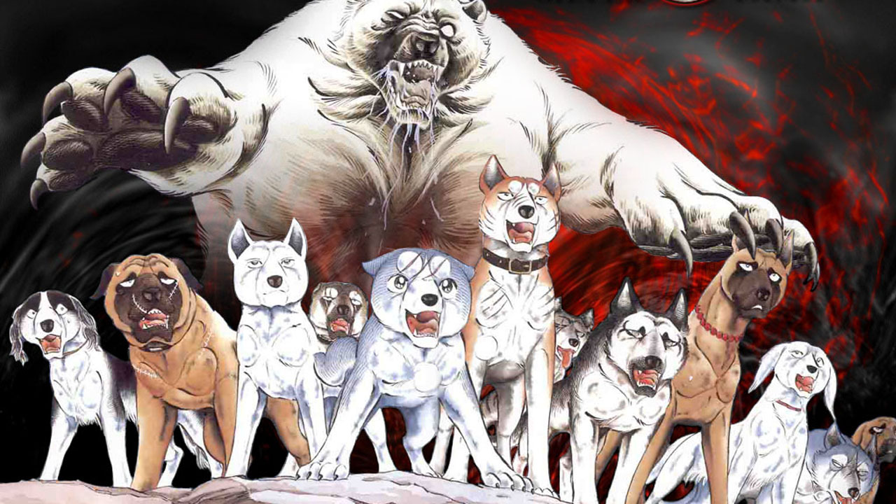 Beast People Run Wild in BNA: Brand New Animal TV Anime Trailer -  Crunchyroll News