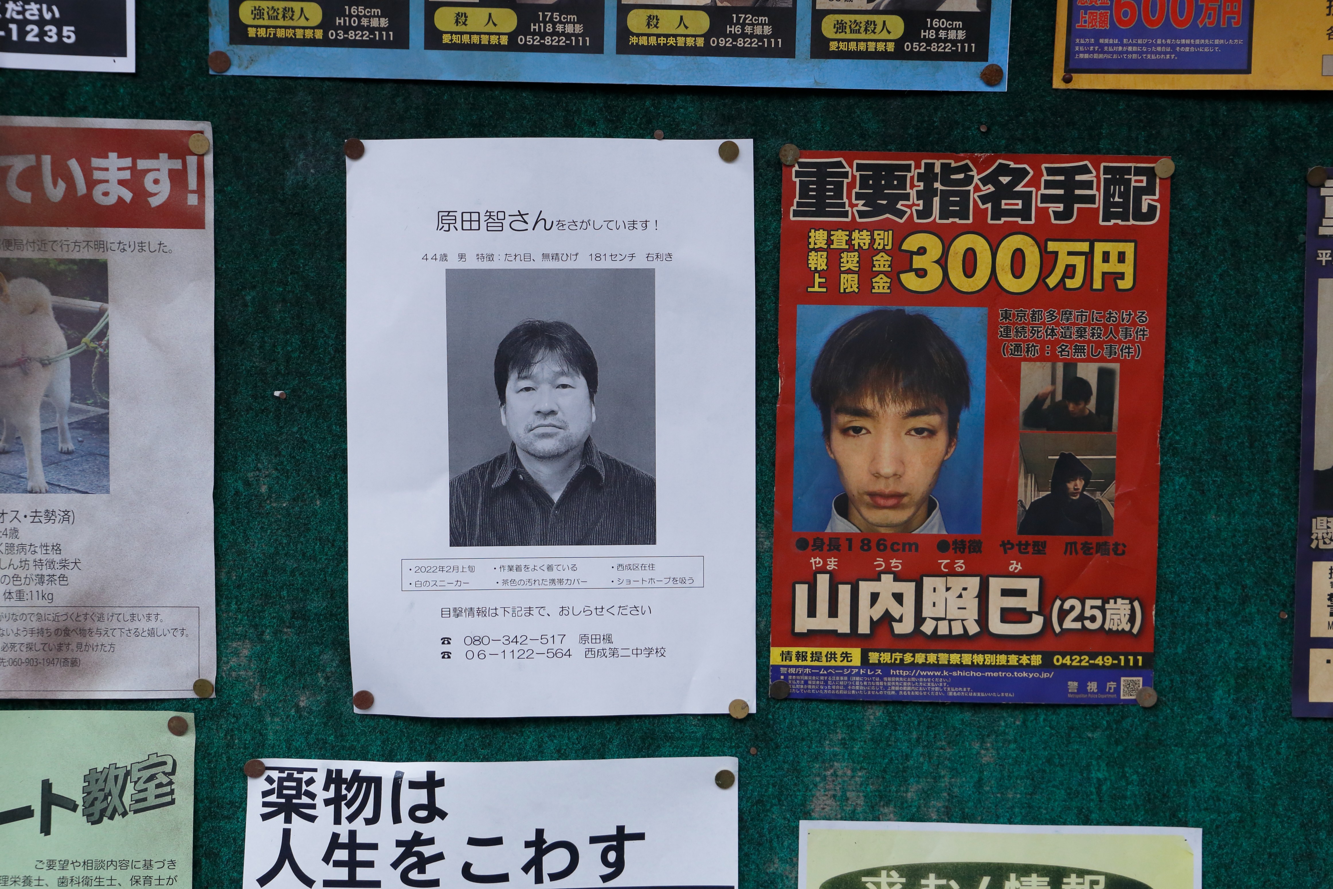 Shinzô Katayama's MISSING -Special LA Screening with Q and A- Tuesday, Sept 27