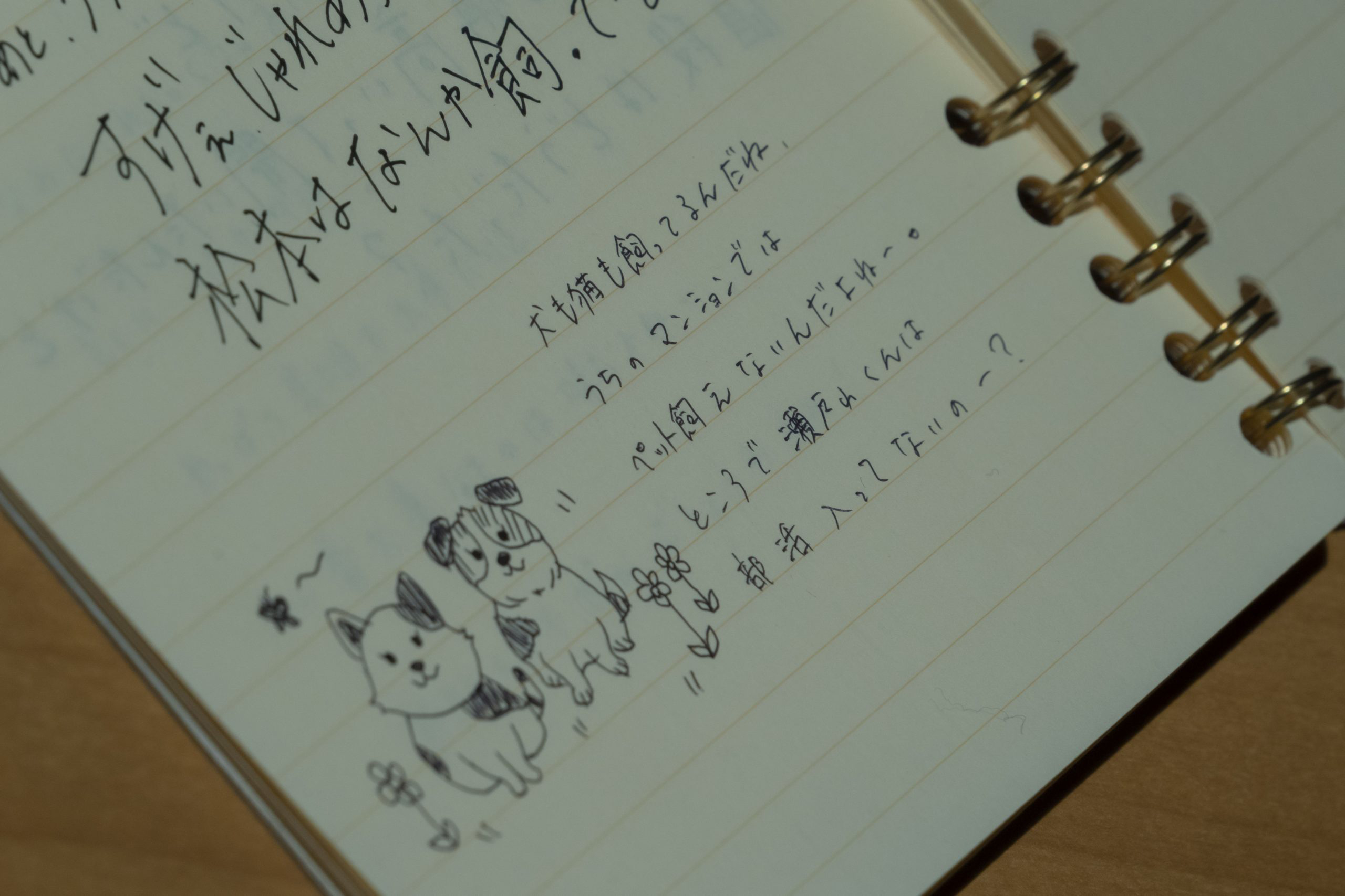 OUR SECRET DIARY Press Notes and Photo Gallery From Shochiku News