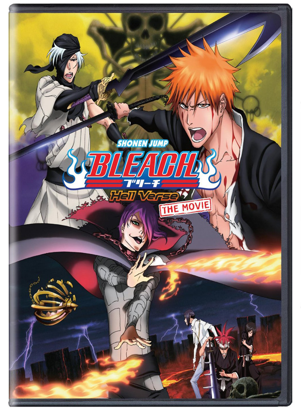 VIZ  Blog / REVIEW: BLEACH DVD SET 16